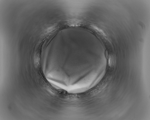 X0000111201444200908121059