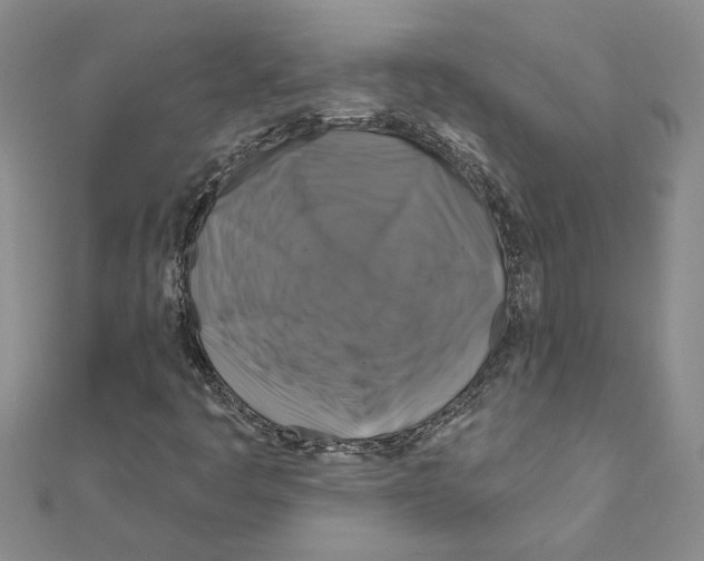 X0000111201445200908121059