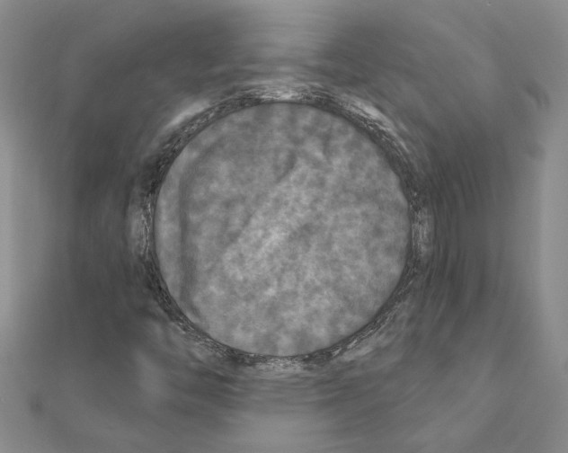 X0000111201446200908121059