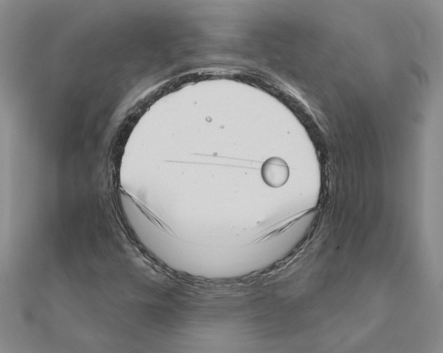 X0000111201448200908121059