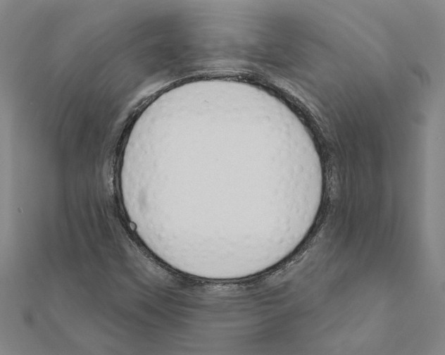 X0000111201451200908121059