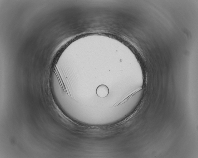 X0000111201452200908121059