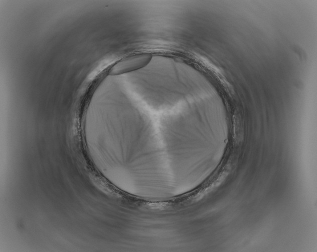 X0000111201453200908121059