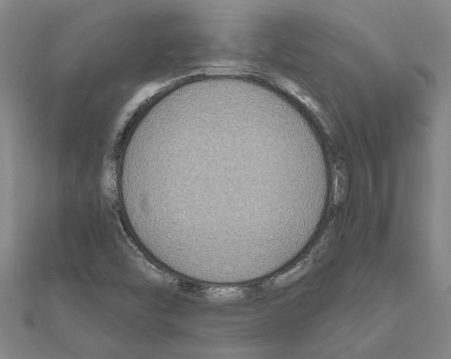 X0000111201454200908121059