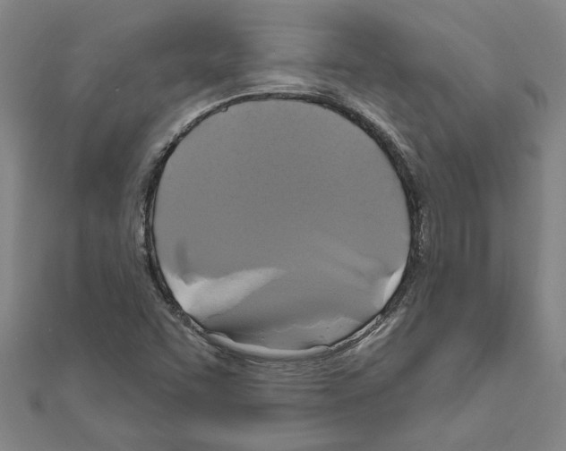 X0000111201455200908121059