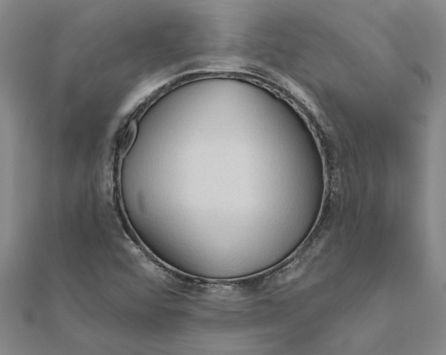 X0000111201456200908121059