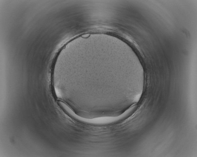 X0000111201459200908121059