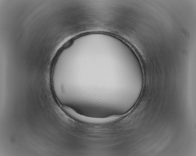 X0000111201460200908121059