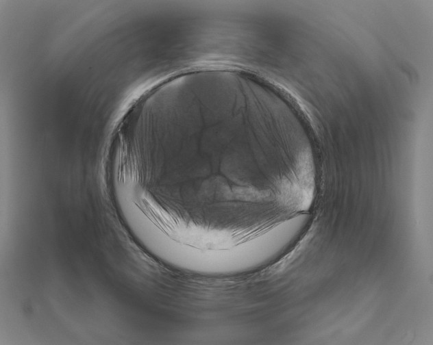 X0000111201461200908121059