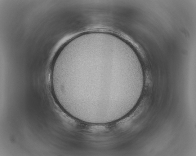 X0000111201462200908121059