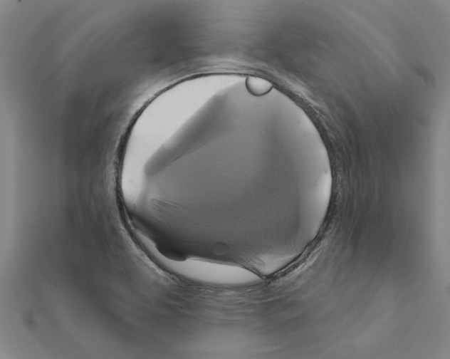 X0000111201463200908121059