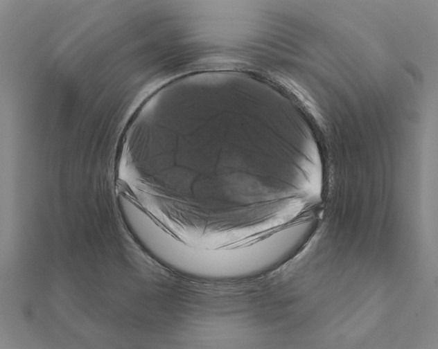 X0000111201465200908121059