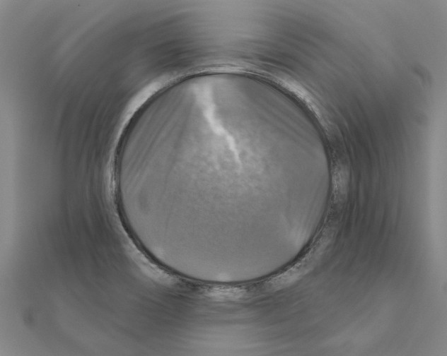 X0000111201466200908121059