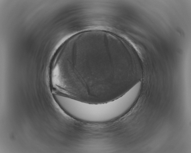 X0000111201468200908121059