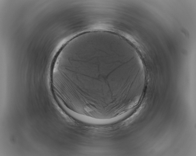 X0000111201469200908121059