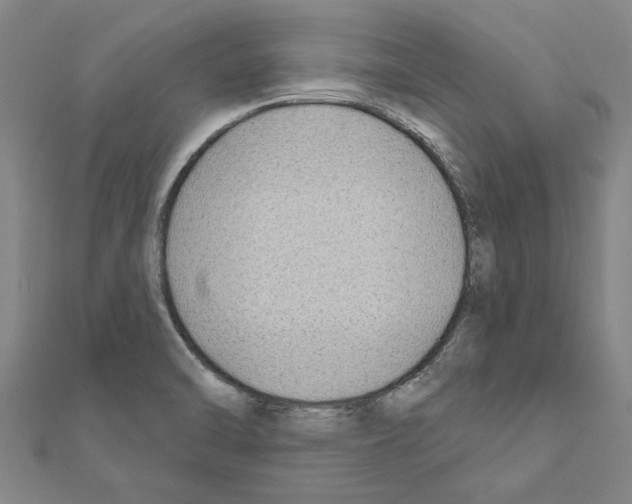 X0000111201470200908121059