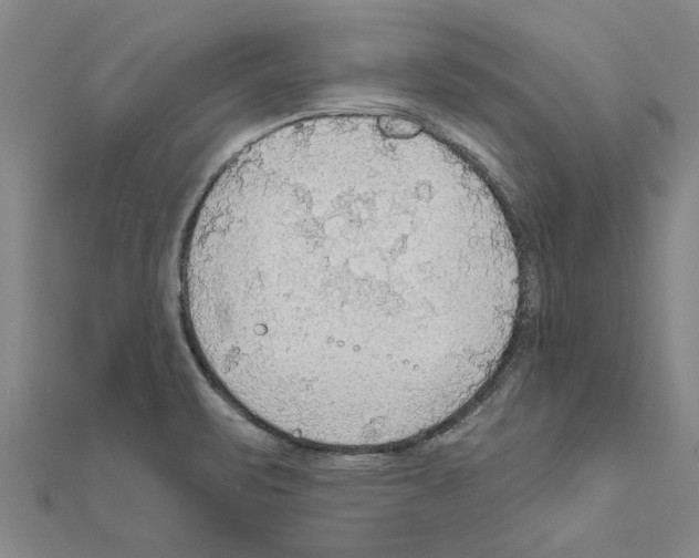 X0000111201471200908121059