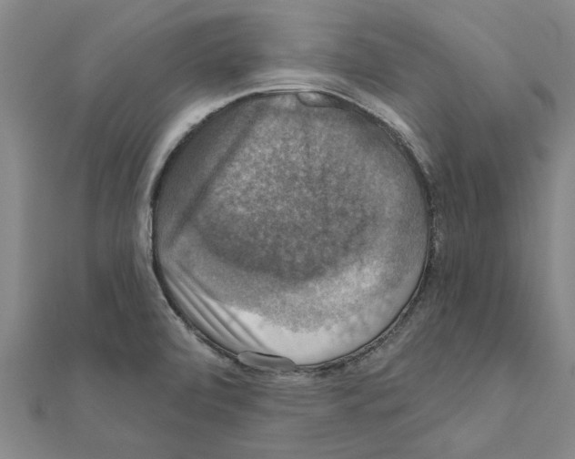 X0000111201472200908121059