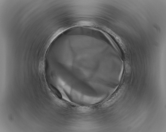 X0000111201473200908121059