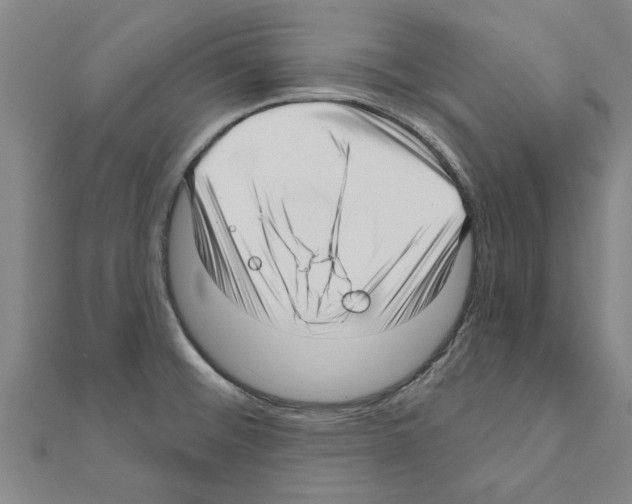 X0000111201476200908121059