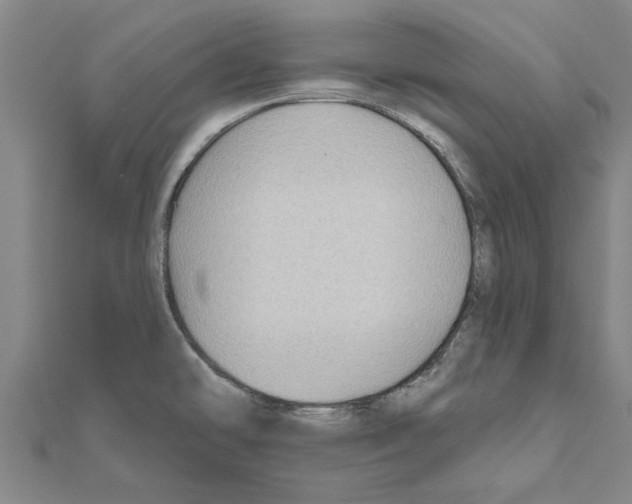 X0000111201478200908121059