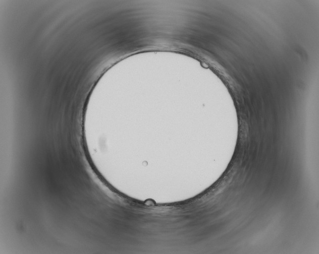 X0000111201479200908121059