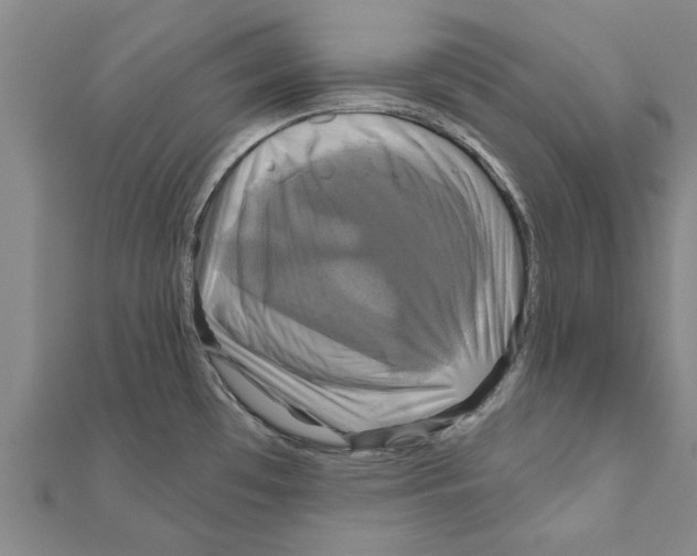 X0000111201481200908121059