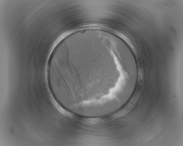 X0000111201482200908121059