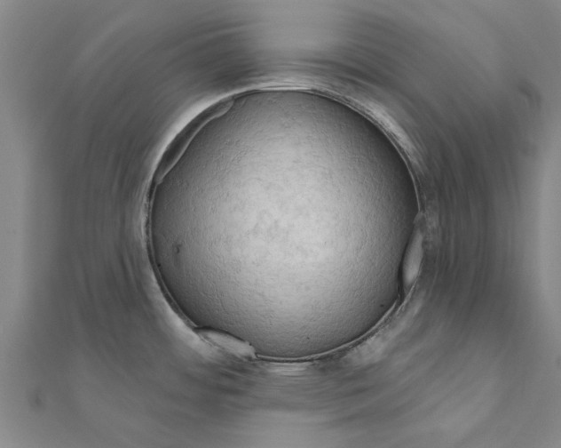 X0000111201484200908121059