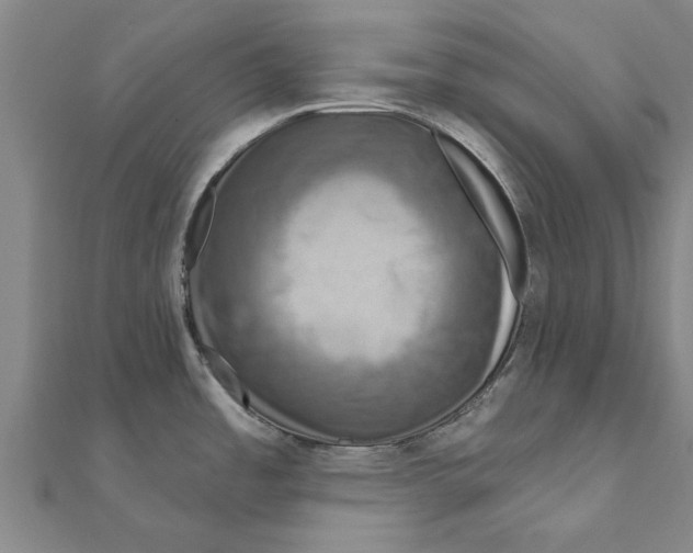 X0000111201485200908121059