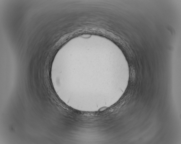 X0000111201489200908121058