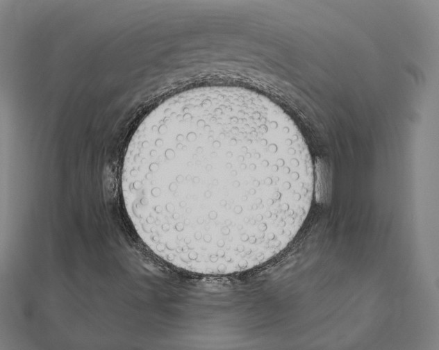 X0000111201491200908121058