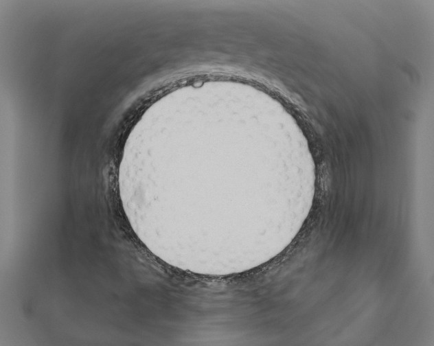 X0000111201495200908121058