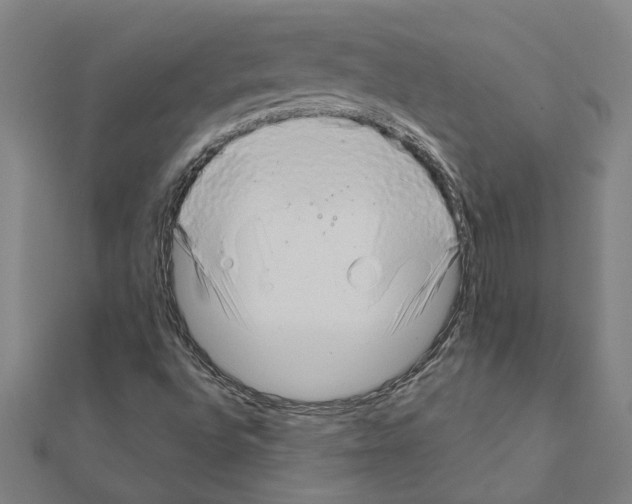 X0000111201496200908121058