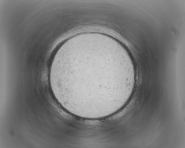 X0000111201498200908121058