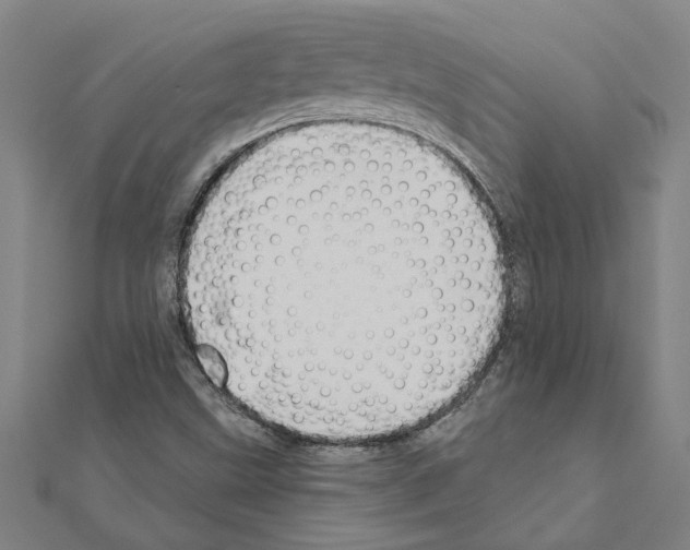 X0000111201499200908121058