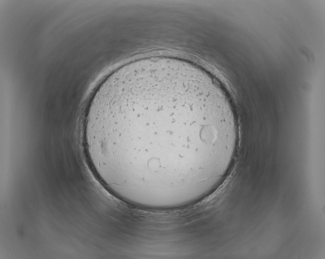 X0000111201500200908121058