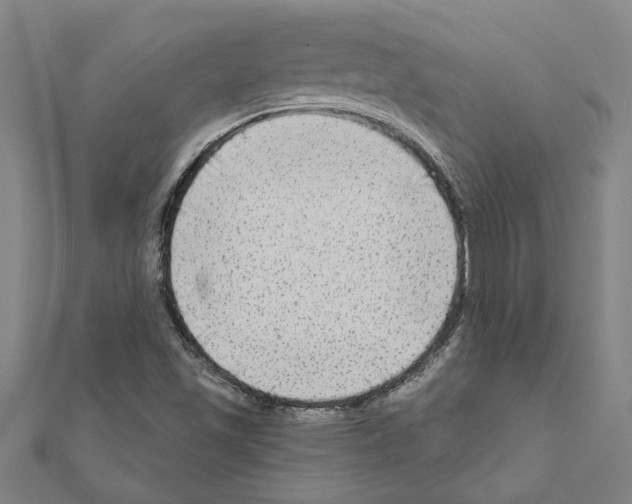 X0000111201501200908121058