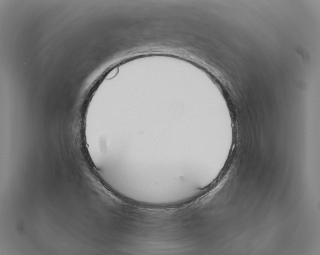 X0000111201502200908121058