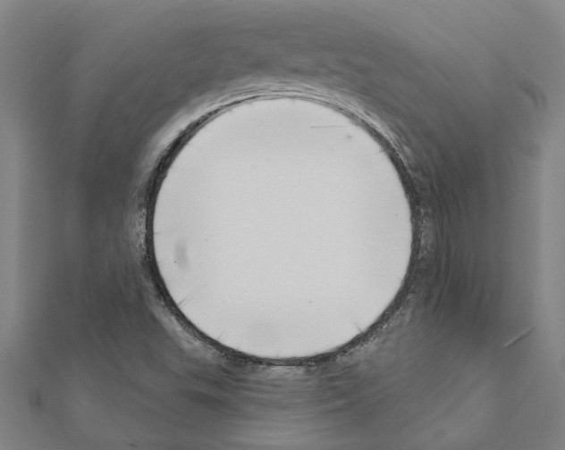 X0000111201503200908121058