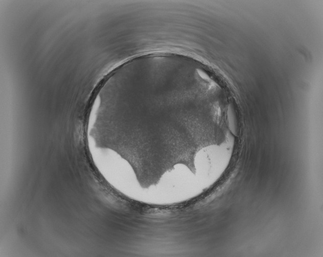 X0000111201505200908121058