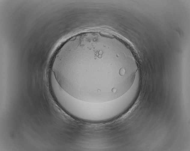 X0000111201506200908121058