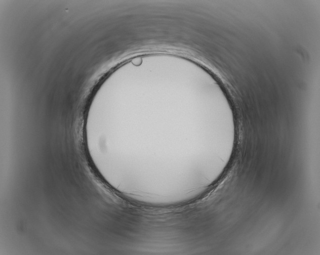 X0000111201507200908121058