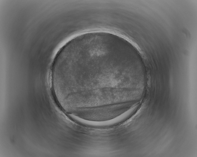 X0000111201510200908121058