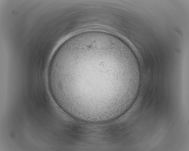 X0000111201514200908121058