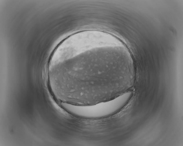 X0000111201515200908121058