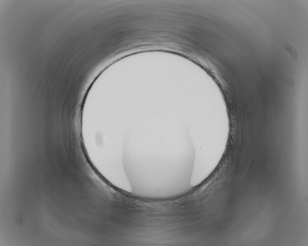 X0000111201516200908121058