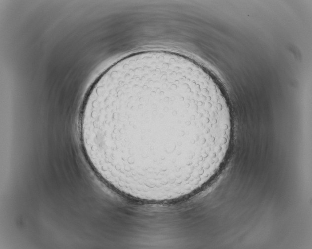 X0000111201517200908121058