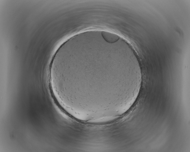 X0000111201519200908121058