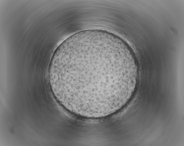 X0000111201521200908121058